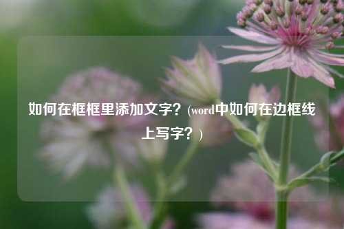 如何在框框里添加文字？(word中如何在边框线上写字？)