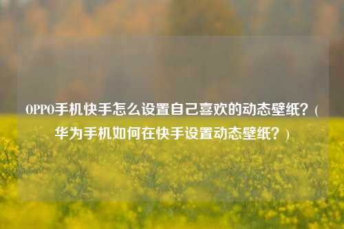 OPPO手机快手怎么设置自己喜欢的动态壁纸？(华为手机如何在快手设置动态壁纸？)