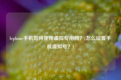 lephone手机如何使用虚拟专用网？(怎么设置手机虚拟号？)