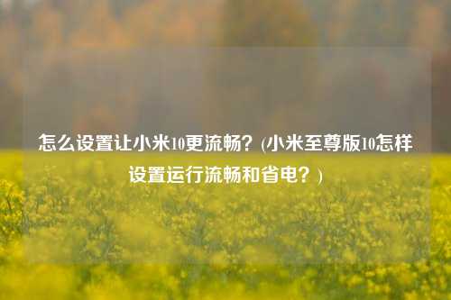 怎么设置让小米10更流畅？(小米至尊版10怎样设置运行流畅和省电？)