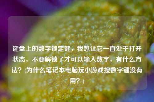 键盘上的数字锁定键，我想让它一直处于打开状态，不要解锁了才可以输入数字，有什么方法？(为什么笔记本电脑玩小游戏按数字键没有用？)