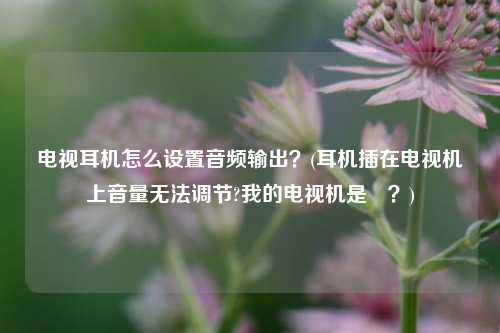 电视耳机怎么设置音频输出？(耳机插在电视机上音量无法调节?我的电视机是–？)