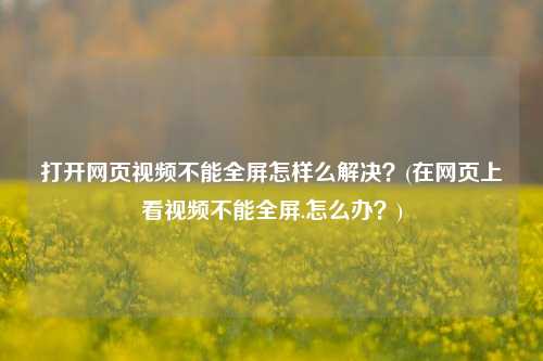 打开网页视频不能全屏怎样么解决？(在网页上看视频不能全屏.怎么办？)