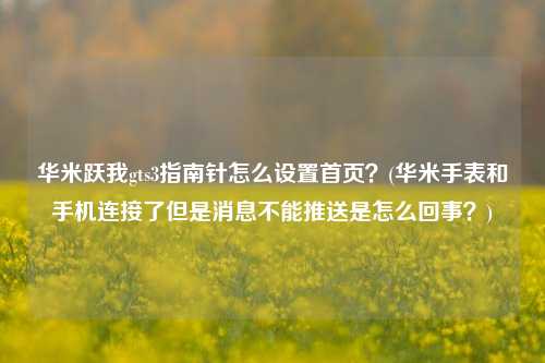 华米跃我gts3指南针怎么设置首页？(华米手表和手机连接了但是消息不能推送是怎么回事？)