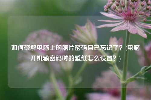 如何破解电脑上的照片密码自己忘记了？(电脑开机输密码时的壁纸怎么设置？)