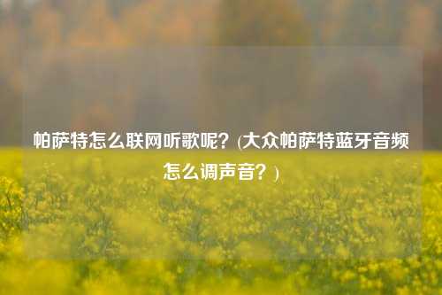 帕萨特怎么联网听歌呢？(大众帕萨特蓝牙音频怎么调声音？)