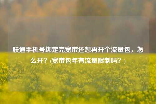 联通手机号绑定完宽带还想再开个流量包，怎么开？(宽带包年有流量限制吗？)