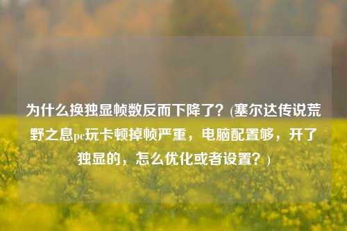 为什么换独显帧数反而下降了？(塞尔达传说荒野之息pc玩卡顿掉帧严重，电脑配置够，开了独显的，怎么优化或者设置？)