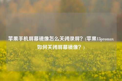 苹果手机屏幕镜像怎么关闭录屏？(苹果13promax如何关闭屏幕镜像？)