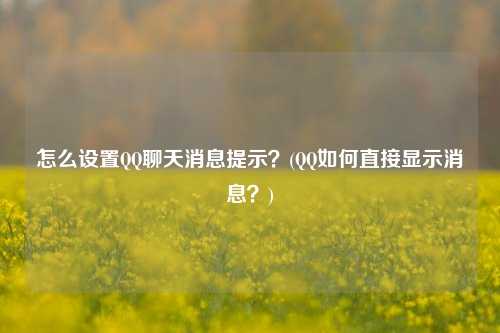 怎么设置QQ聊天消息提示？(QQ如何直接显示消息？)