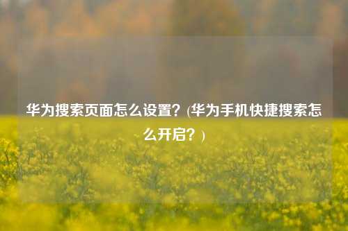 华为搜索页面怎么设置？(华为手机快捷搜索怎么开启？)