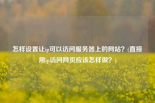 怎样设置让ip可以访问服务器上的网站？(直接用ip访问网页应该怎样做？)