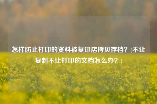 怎样防止打印的资料被复印店拷贝存档？(不让复制不让打印的文档怎么办？)