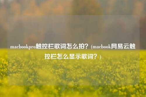 macbookpro触控栏歌词怎么拍？(macbook网易云触控栏怎么显示歌词？)