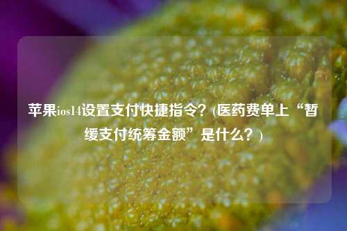 苹果ios14设置支付快捷指令？(医药费单上“暂缓支付统筹金额”是什么？)