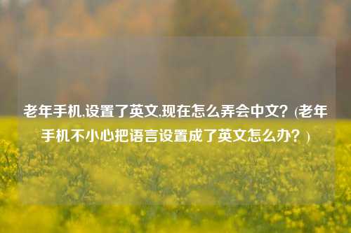 老年手机,设置了英文,现在怎么弄会中文？(老年手机不小心把语言设置成了英文怎么办？)