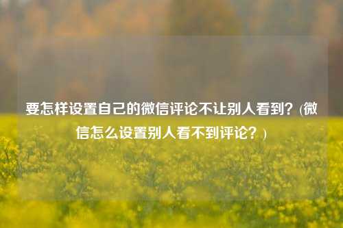 要怎样设置自己的微信评论不让别人看到？(微信怎么设置别人看不到评论？)