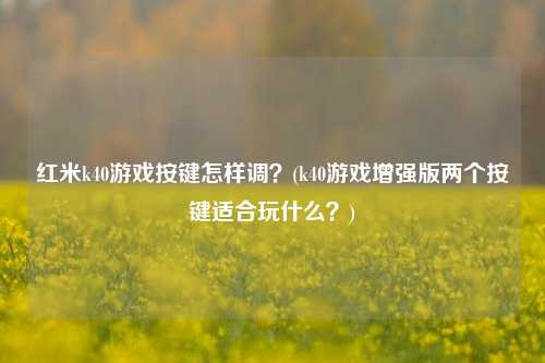 红米k40游戏按键怎样调？(k40游戏增强版两个按键适合玩什么？)