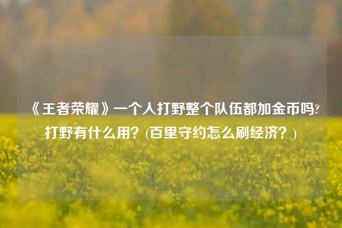 《王者荣耀》一个人打野整个队伍都加金币吗?打野有什么用？(百里守约怎么刷经济？)