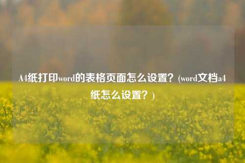 A4纸打印word的表格页面怎么设置？(word文档a4纸怎么设置？)