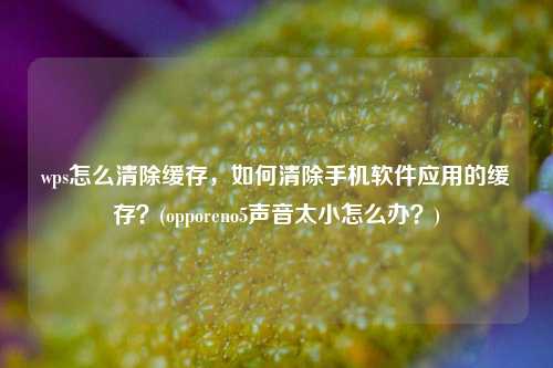 wps怎么清除缓存，如何清除手机软件应用的缓存？(opporeno5声音太小怎么办？)