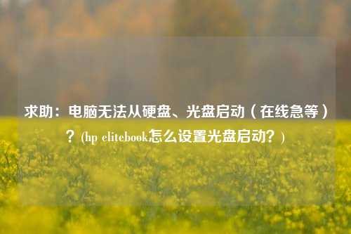 求助：电脑无法从硬盘、光盘启动（在线急等）？(hp elitebook怎么设置光盘启动？)