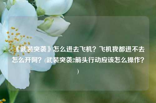 《武装突袭》怎么进去飞机？飞机我都进不去怎么开阿？(武装突袭2箭头行动应该怎么操作？)