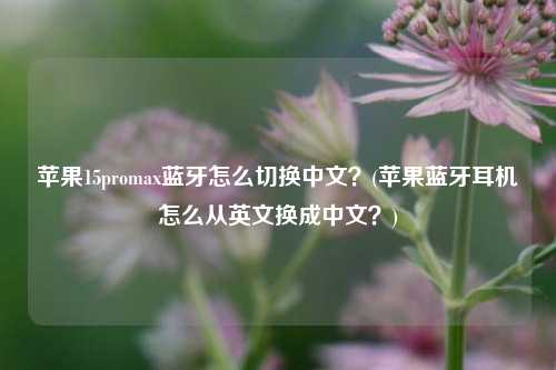 苹果15promax蓝牙怎么切换中文？(苹果蓝牙耳机怎么从英文换成中文？)